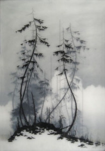 Shane Salzwedel | 1000strands.com | Grey